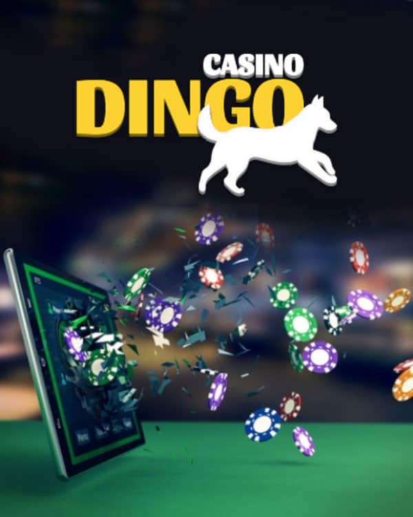 casino dingo featured